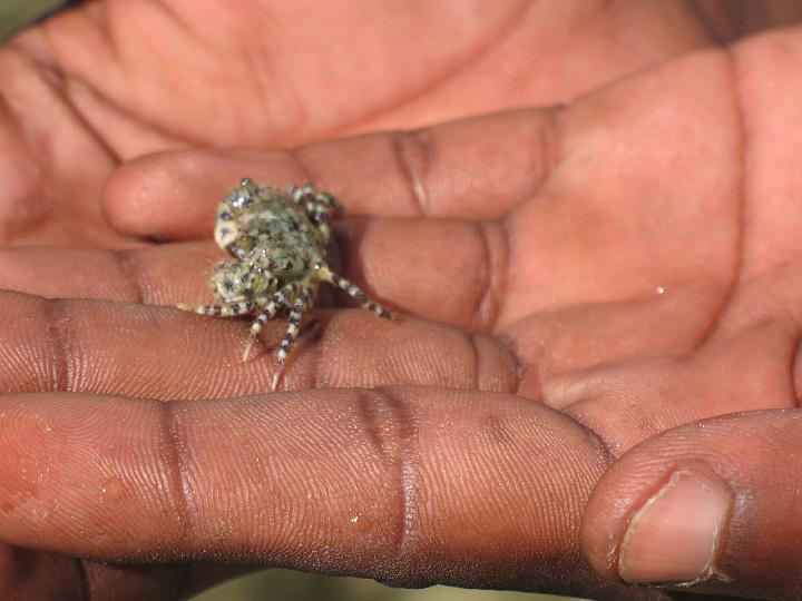 Kenya 214.1